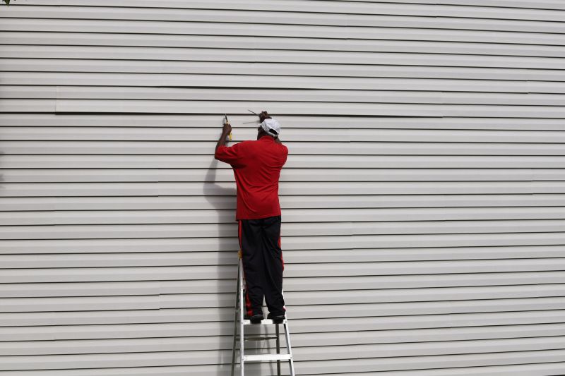 Cleaning and Preparing Siding